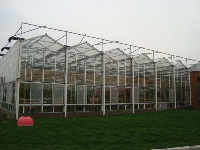 蔬菜溫室大棚建設