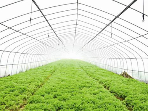 蔬菜溫室大棚建設怎樣選材以及使用