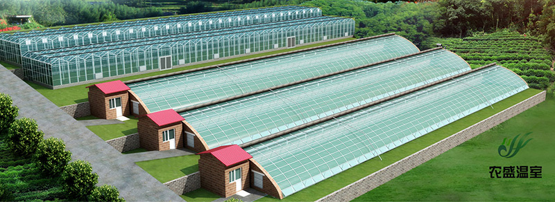 蔬菜溫室大棚建設