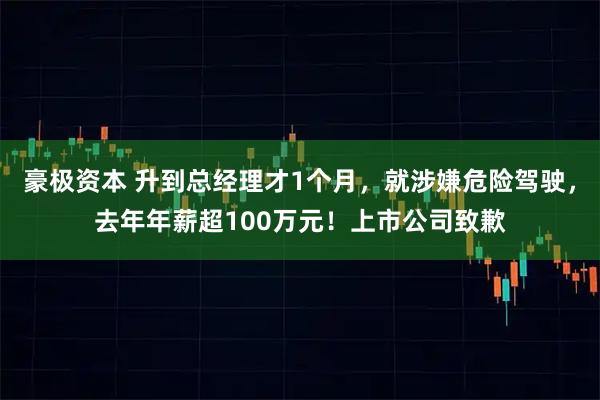 豪极资本 升到总经理才1个月，就涉嫌危险驾驶，去年年薪超100万元！上市公司致歉